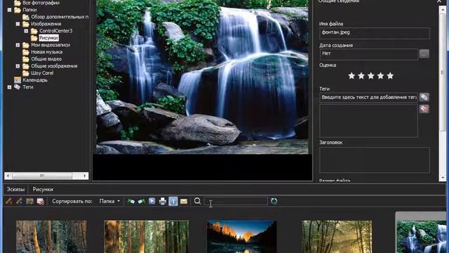 Уроки Corel PaintShop Photo Pro X3: Органайзер смотреть онлайн