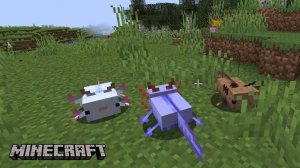 Как призвать аксолотля в Майнкрафт | Гайд по аксолотлю