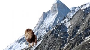 РРРЫ. Г.Кружков