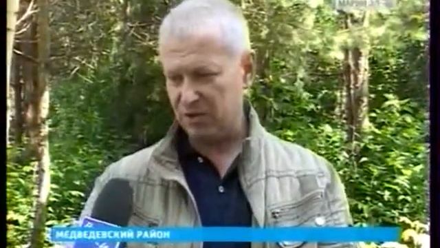 12 07 медведь в лесной сказке