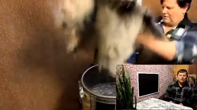 Выделка шкур в домашних условиях смотреть онлайн