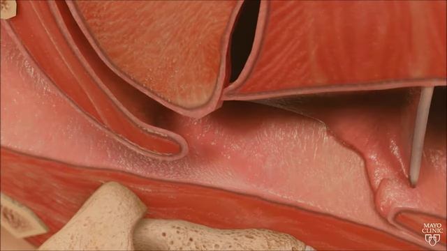 храп и обструктивное апноэ смотреть онлайн