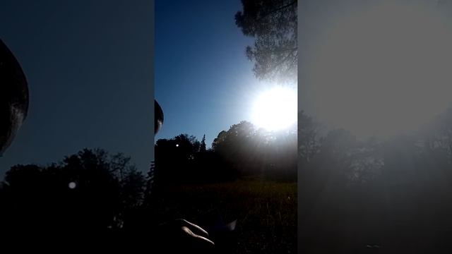 Meditation ~ Oracle d'Isis * Le soleil levant смотреть онлайн