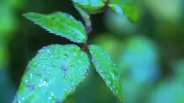 Dohnányi- Aria for flute and piano смотреть онлайн