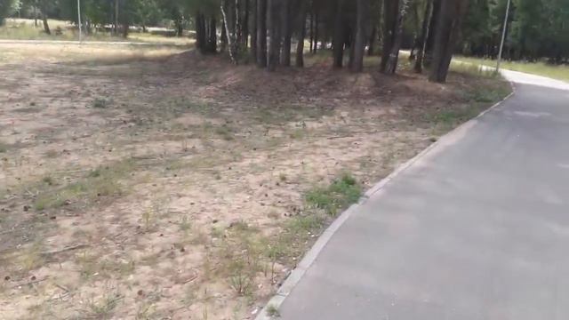 НА ОЗЕРО ПРОГУЛКА смотреть онлайн