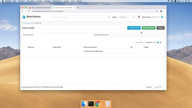 Как подключиться к хостингу по SSH (DirectAdmin, macOS) смотреть онлайн