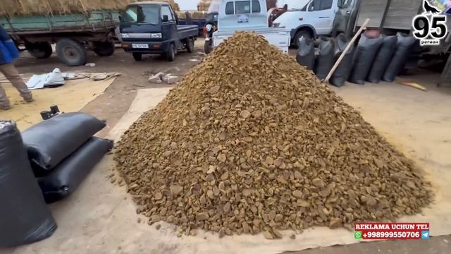 ЕМ ВА ХАШАК НАРХЛАРИ УЗГАРДИ: Кунжара, шрот, кепак, шелуха | ТУРТКУЛЬ ЭЛЛИККАЛЬА БЕРУНИЙ ХОРАЗМ 202 смотреть онлайн