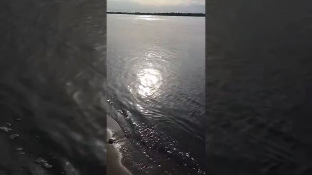Огромный голавль смотреть онлайн