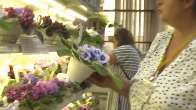 ДФ.Прямое включение. И.Л.Данилина смотреть онлайн