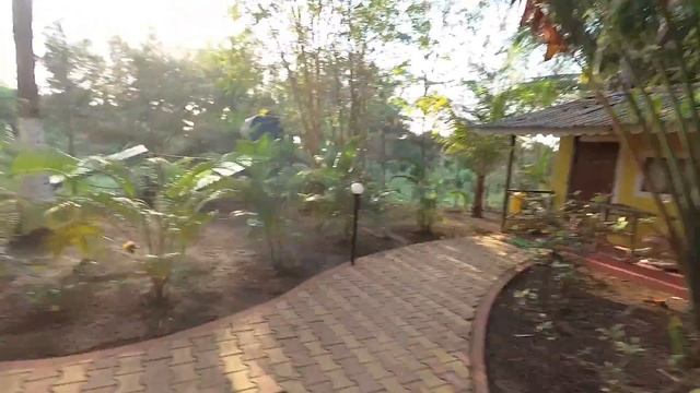 Morjim Beach Resort 2*|Индия, Гоа|Обзор отеля смотреть онлайн