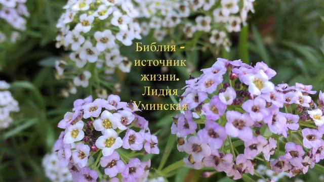 Библия источник жизни. Христианский стих смотреть онлайн
