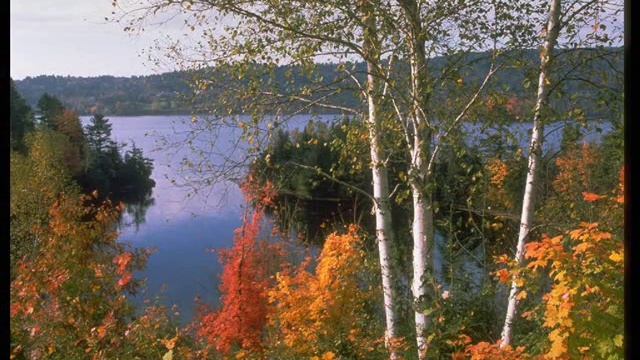 Осень. Сказочный чертог... смотреть онлайн