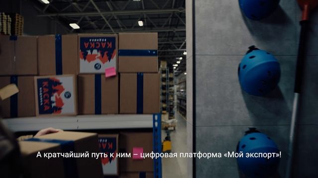 Мой экспорт смотреть онлайн