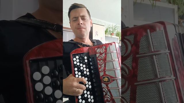 Metallica - The Unforgiven на баяне 🎶🪗🤘 #cover #рекомендации