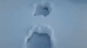 Дети встретили Снежного человека (16+)