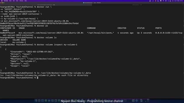 03-Map and save SQL Server Database with Docker Volume смотреть онлайн