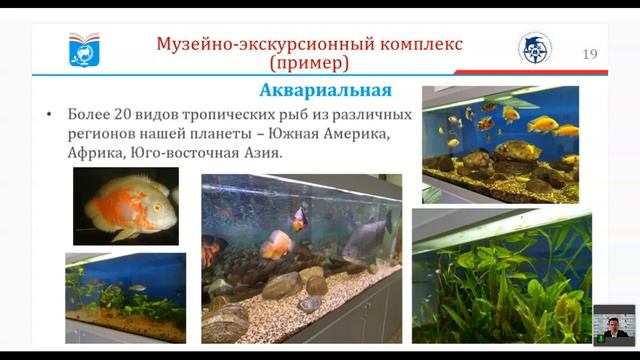 Организация естественнонаучных музеев в образовательных организациях смотреть онлайн