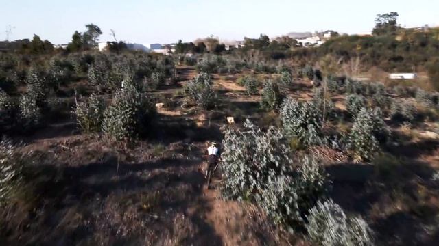 SHORT TRACK Leça do Balio 2022 OnBoard | projetopedal смотреть онлайн