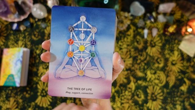 SEPT. '23 RELEASE! THE TREE OF LIFE ORACLE - Deck Review - ANCIENT WISDOM TO HELP CLARIFY YOUR PATH смотреть онлайн