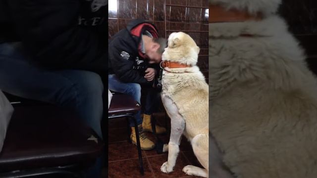 Самира. В клинике. смотреть онлайн