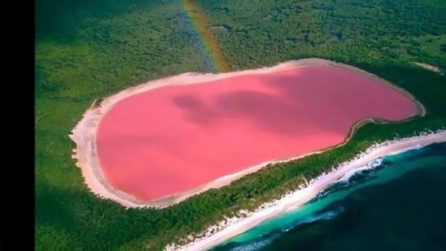 Озеро Хиллер смотреть онлайн