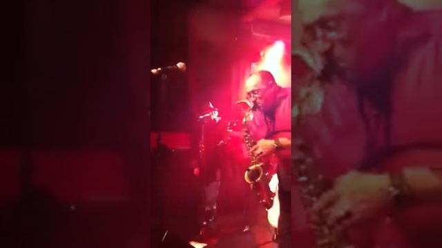 Fanfare Ciocarlia Cerys Matthews