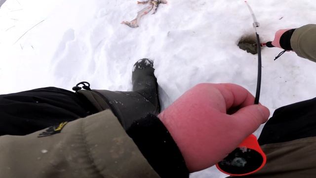 Ивановские торфяники. Рыбалка 21.02.21. смотреть онлайн