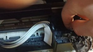 засохла Печатаюшая голова Epson l355. Что делать?