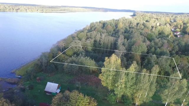 Участок 20 соток ИЖС на берегу озера, первая линия, прямо у воды, Лужский район смотреть онлайн