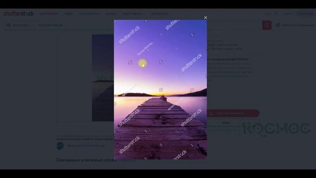 Как найти изображение на сайте Shutterstock? смотреть онлайн
