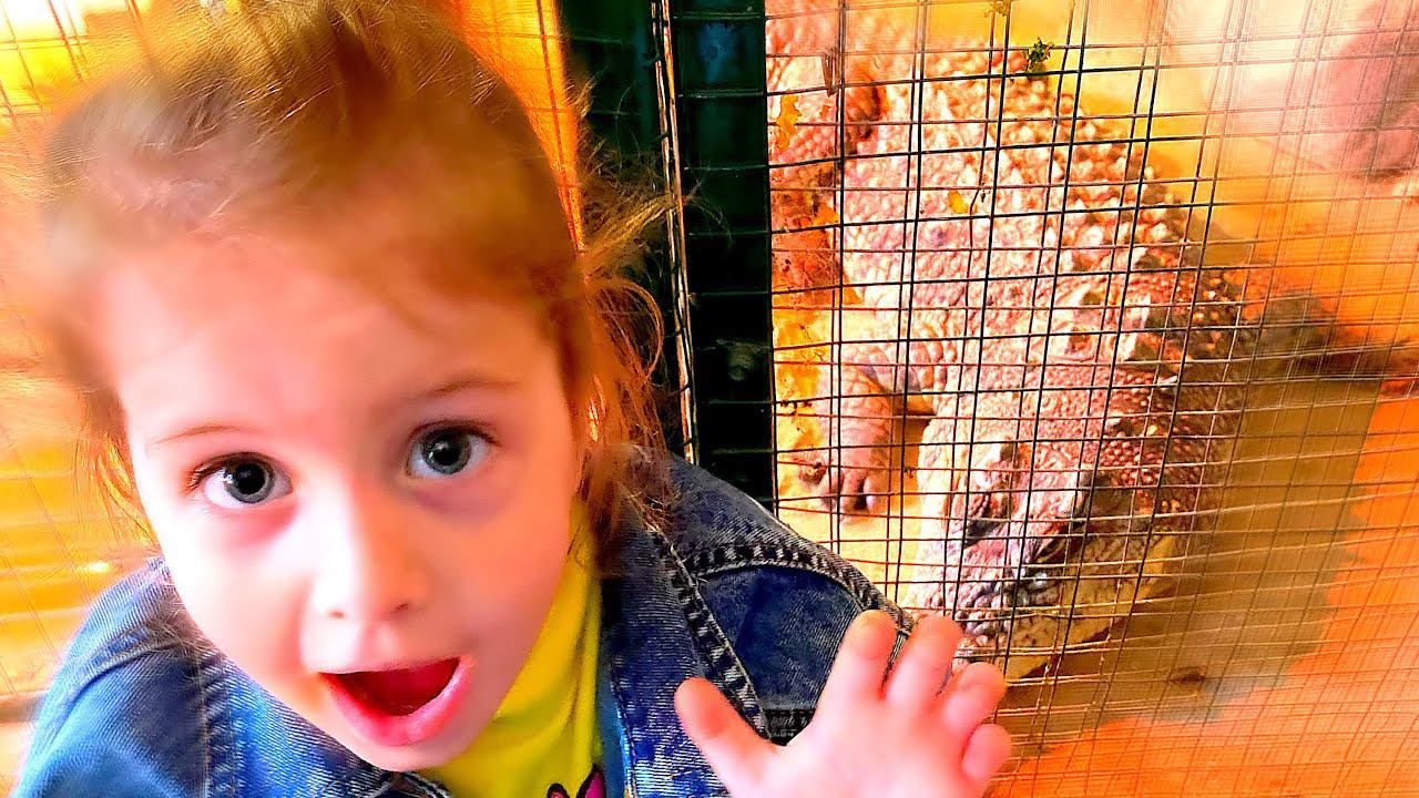 Влог в зоопарке с 10000 Зверей! На Ангелишку Мышку напал Крокодил? смотреть онлайн