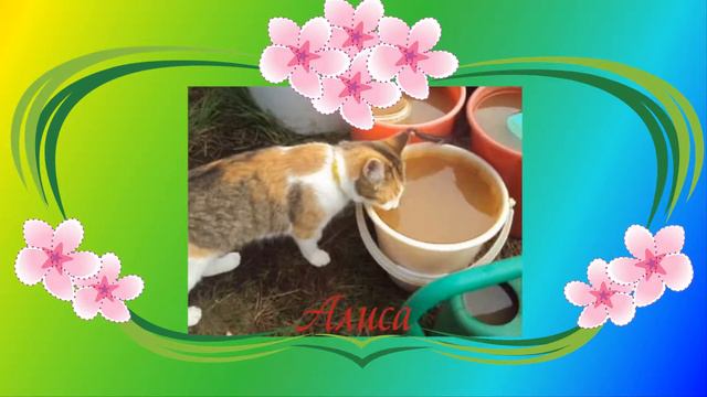 ***Слайд-шоу "Алиса и Грэйс на даче" смотреть онлайн