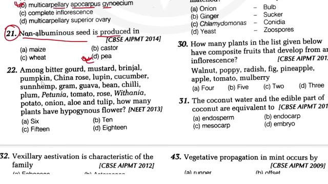 Chapter wise (PYQ) Morphology Part-1 BIOLOGY NEET 2021 MOST IMPORTANT QUESTIONS NEET WALLAH смотреть онлайн