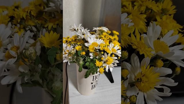 Вот так просто #кружка #домавместе #homesweethome #подарок #дубки #ромашки смотреть онлайн