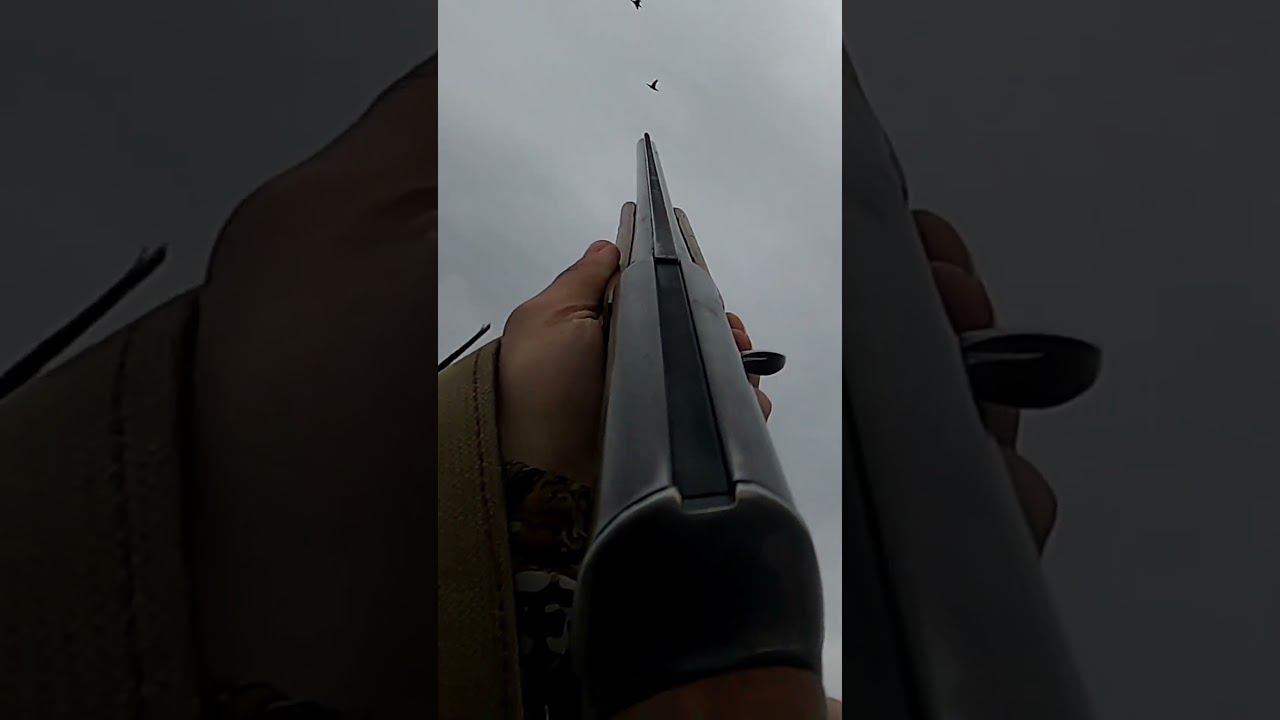 Весенний Селезень. Что за утка? #охота #охотанауток смотреть онлайн