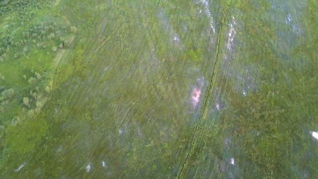 Eachine EX4 Aurora JJRC X12, C FLY Faith 3 axis Gimbal GPS Drone смотреть онлайн