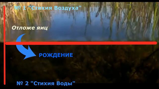 Реверс 1 часть