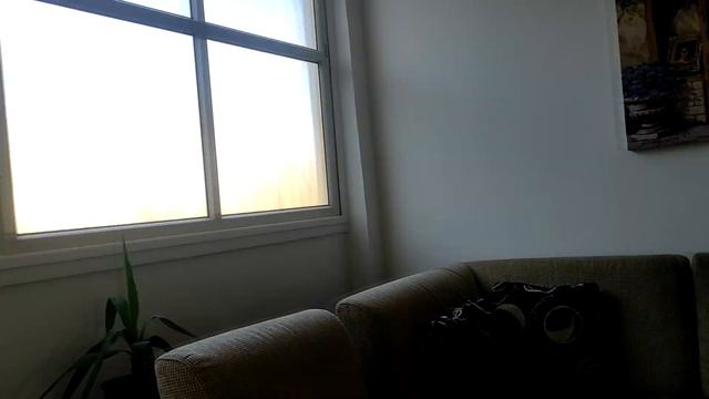 Как фотографировать собаку смотреть онлайн