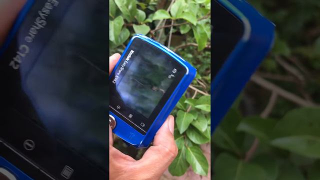 Kodak EasyShare C142 10MP