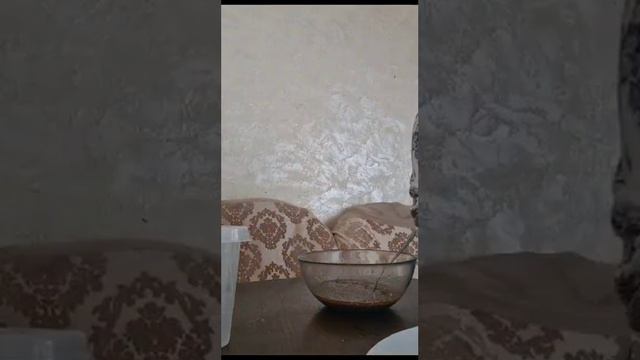 25 августа 2023 г. смотреть онлайн