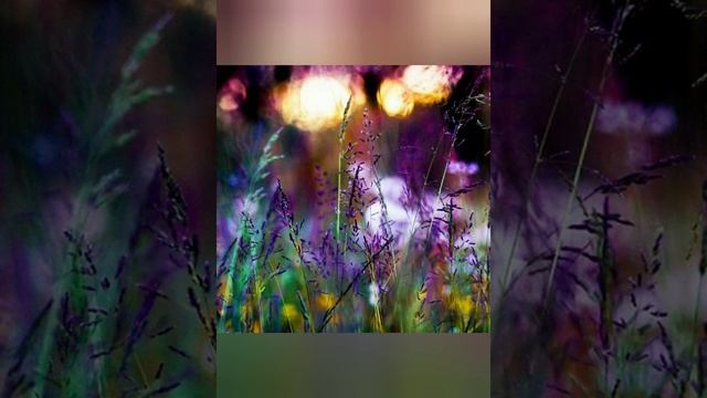 #17октября - Ерофеев день смотреть онлайн