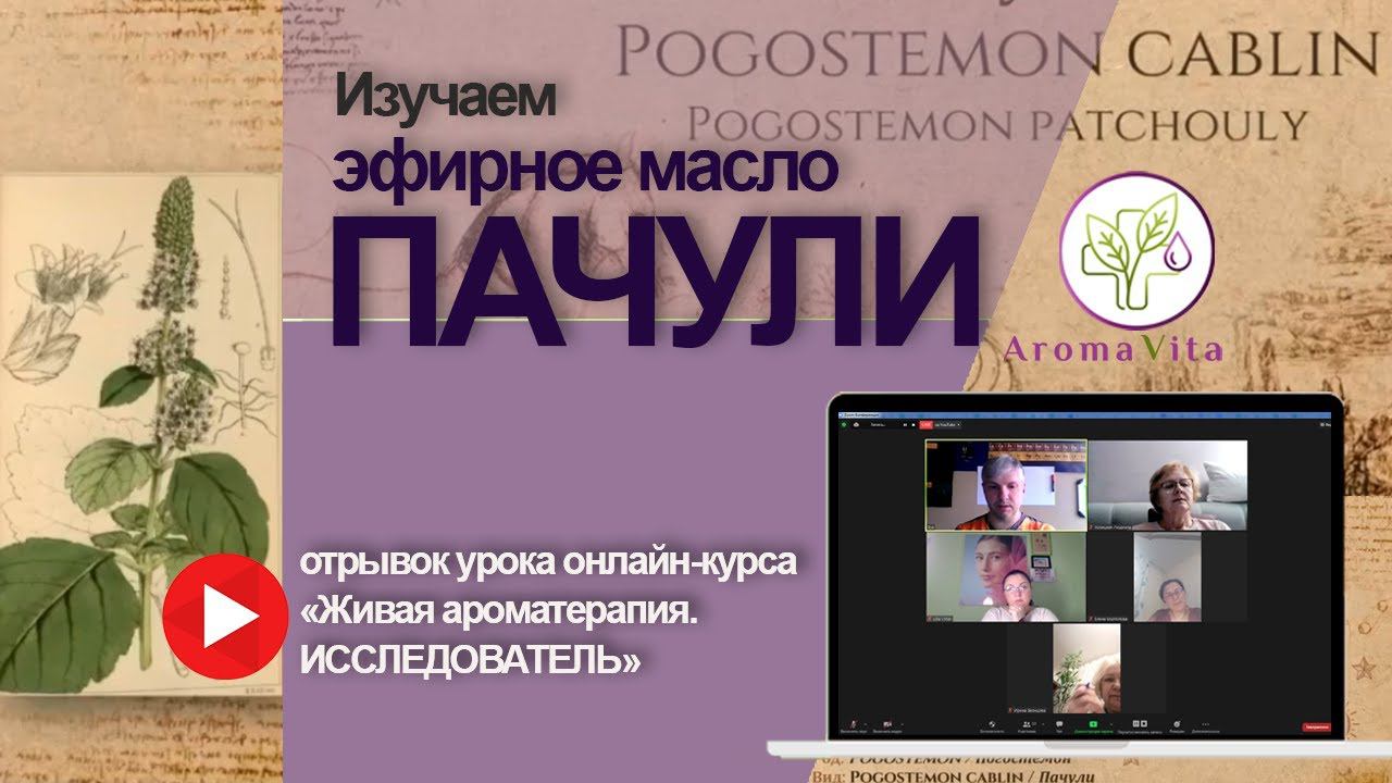 Эфирное масло Пачули - свойства и применение смотреть онлайн