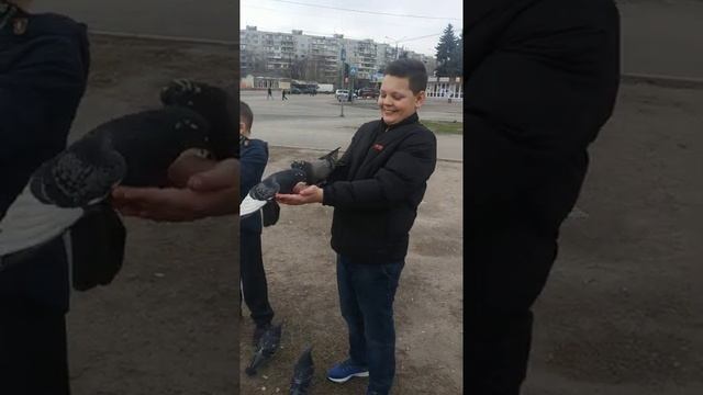 Голуби садятся прямо на руки детей когда их кормят семечками смотреть онлайн