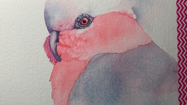 Watercolor Galah. Creating a Focal Point. Composition Tips смотреть онлайн
