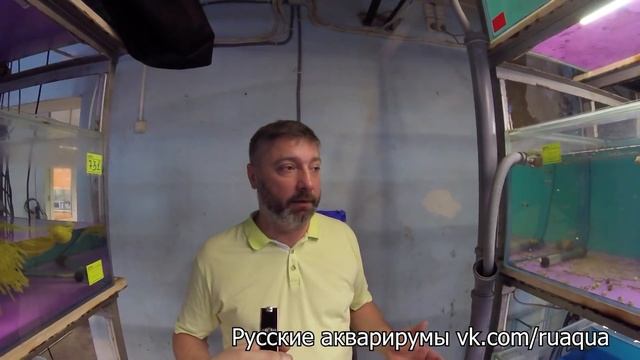 Мегаразводни России. Пермь. Ч1 смотреть онлайн