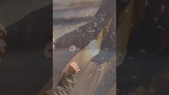 11 июня день женского счастья