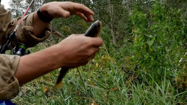 Вместо сказки на ночь. Спите. смотреть онлайн