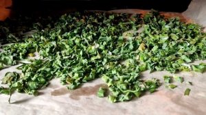 Сушим зеленый лук на зиму в духовке