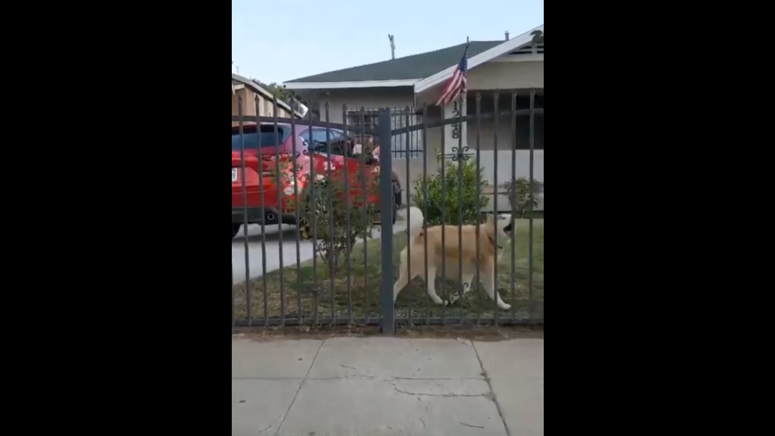 У-у-у-у-у-у! смотреть онлайн