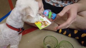 24 ЧАСА В КАРТОННОМ ДОМЕ С КОТАМИ И МАРУСЕЙ!